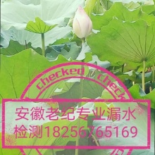 六安老纪管道测漏公司